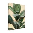 thumbnail image 2 of Annie Warren 'Plant Study II' Canvas Art, 2 of 3