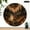 10x10in, variant on Patifu 1pc Forest Ghost Lantern Mushroom Night Theme  No AA Battery Lncluded, 10 inch Wall Clock Battery Operated Lobby Corridor Dining Room Bedroom Office Classroom