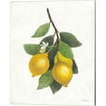 thumbnail image 2 of Great Art Now Lemon Branch by Albena Hristova 2 Piece Canvas Art Set Each 12"W x 15"H, 2 of 3
