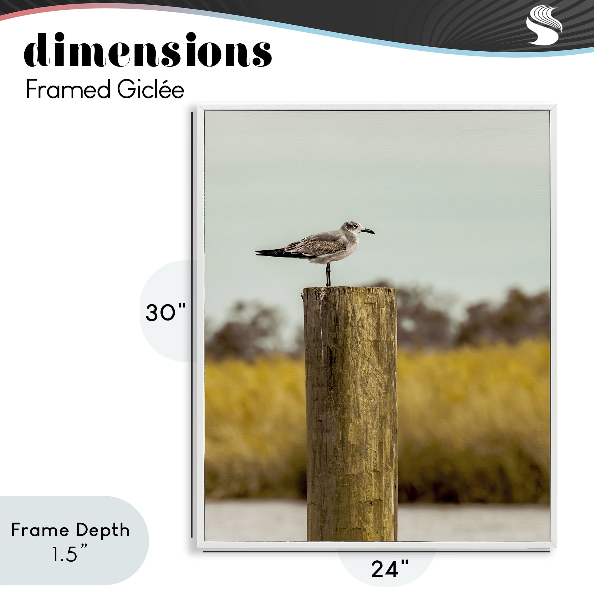 Stupell Industries Gull On Piling White Framed Giclee Art, design by Christy Berry