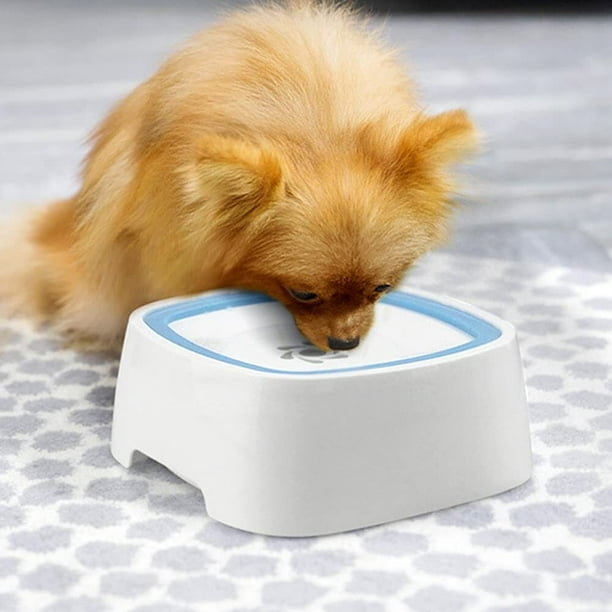 Dog floater cheap water bowl