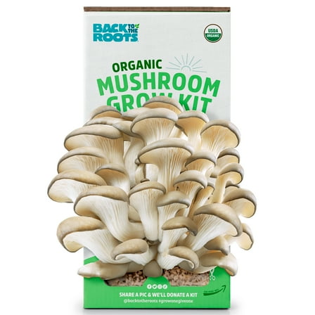 Back to the Roots Organic Pearl Oyster Mushroom Grow Kit