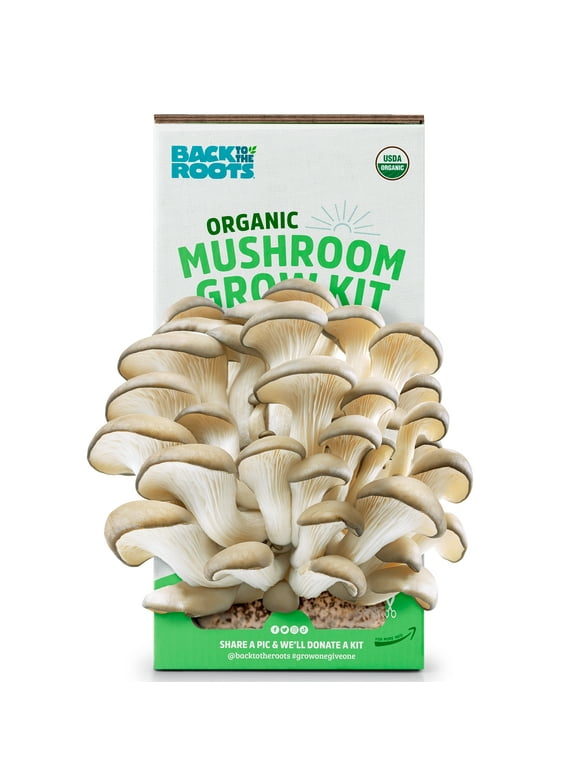 Back to the Roots Organic Pearl Oyster Mushroom Grow Kit