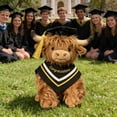 thumbnail image 4 of Rirozkan Graduation Cow Plush, 2026 Graduation Cap Cow, Commemorative Plush Toy for Graduate, Funny Cow Stuffed Animal, Novelty Gift for Graduation Celebration, 4 of 6