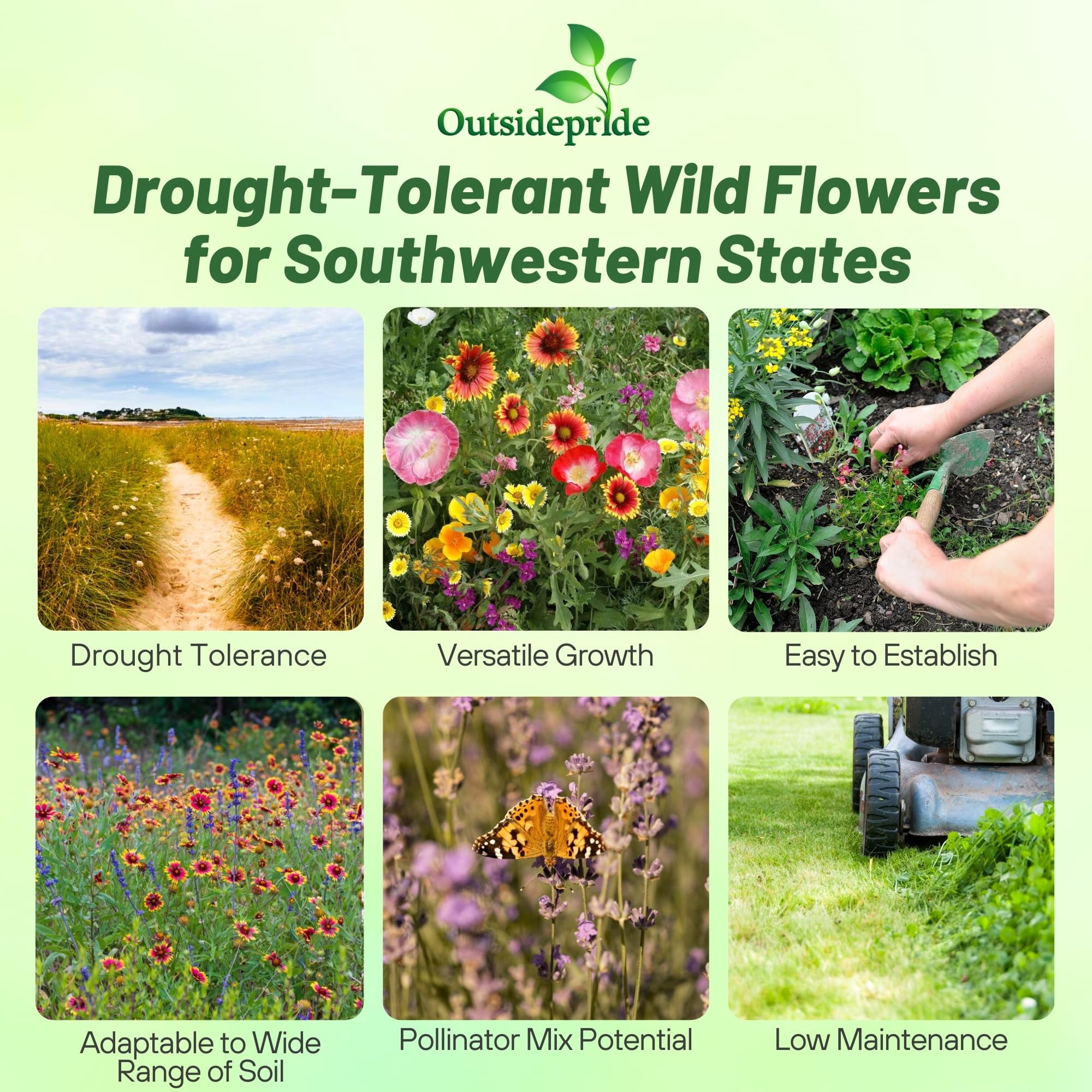 Outsidepride Southwest Wild Flower Seed Mix - 1 lb. Heat & Drought Tolerant Premium Blend of Annual & Perennial Wildflower Seeds for Planting on Outdoor Lawns & Gardens from Spring to Fall