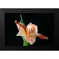 thumbnail image 2 of Putman, Tammy 24x17 Black Modern Framed Museum Art Print Titled - Peach Lily, 2 of 5