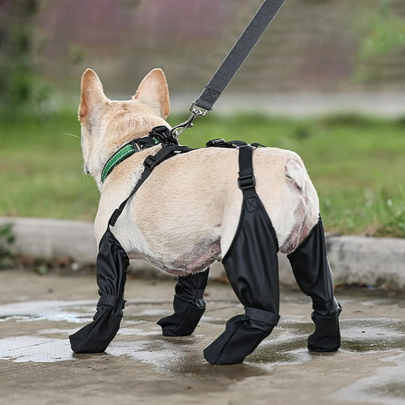 Riforla Dog Boot Leggings Dog Boots Anti Dog Shoes Pet Protector for Small Medium Dogs Proof Dog Outdoor Walking Running Hiking Booties with Auxiliary Strap Pet Supplies Black S