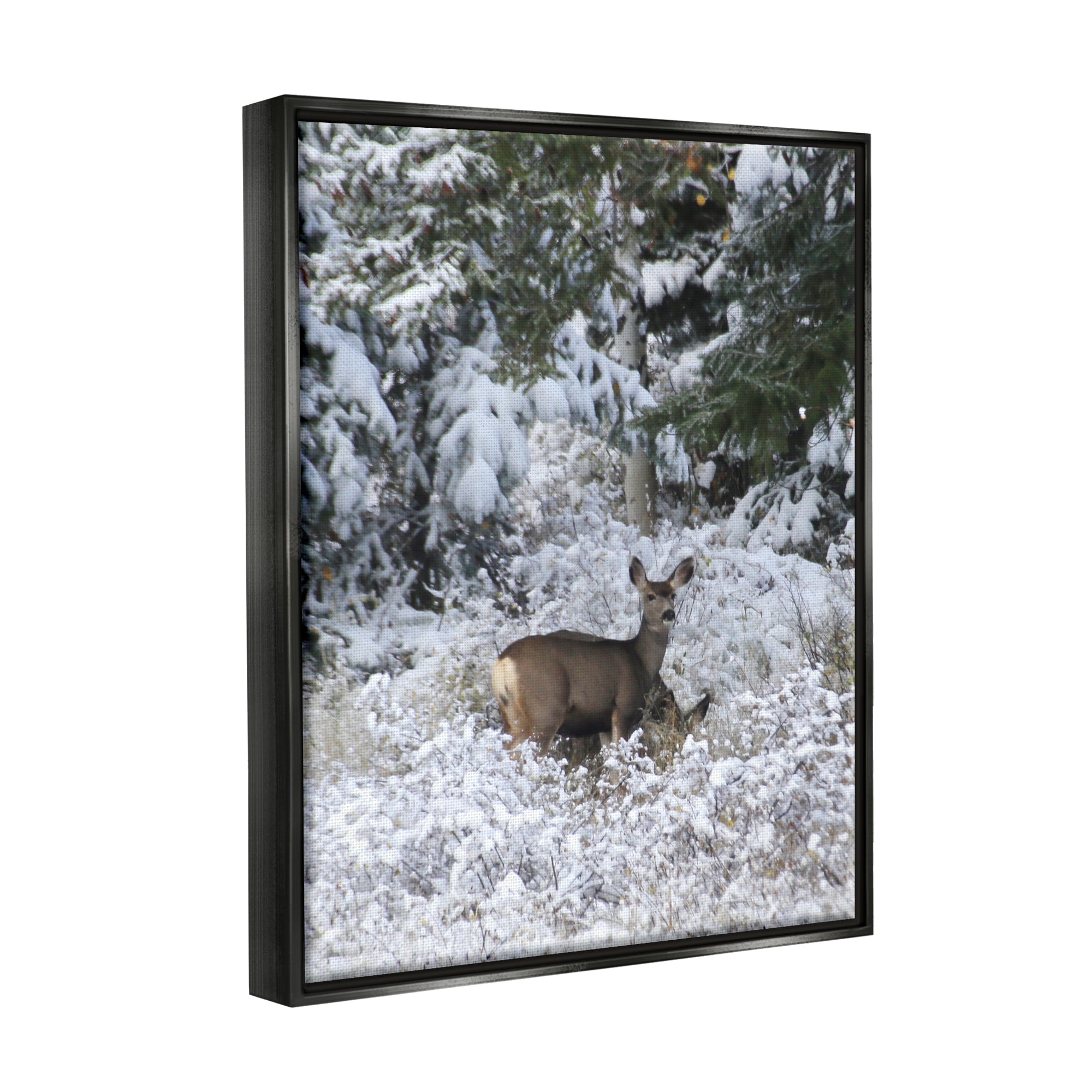 Stupell Industries Deer in Winter Trees Animals & Insects Photography Black Floater Framed Art Print Wall Art, 25 x 31