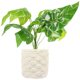 thumbnail image 1 of Bonsái artificial de hoja de taro, planta en maceta de hoja verde falsa, adorno de bonsái simulado, 1 of 8