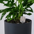 thumbnail image 1 of HONMEET 6Pcs Fertilization Container for Plant Cultivation 2X5CM Silver, 1 of 6