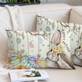 thumbnail image 2 of Beige Easter Bunny Pillow Covers King, Spring Easter Eggs Floral Wooden Soft Brushed Microfiber Breathable Throw Pillow Covers, Decorative Pillowcase with Zipper for Couch Sofa Bedroom 20"x36", 2 of 9