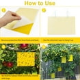 thumbnail image 4 of Innens 60 PCS Sticky Fly Traps Gnat Trap Flies Insect Glue Catcher w/ Hanging Ropes, 4 of 9