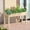 Wood, variant on Blorly Wooden Raised Beds for Garden, Elevated Planter Box for Vegetable/Flower/Herb, Raised Growing Bed with Drainage Holes for Patio, Backyard, Garden, Natural Wood, 48"x24"