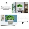 thumbnail image 3 of Pots for Orchids Basin Control Root Planting House Plants Topper Container 10 Pcs, 3 of 6