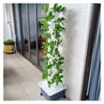 Hydroponics Growing System, Vertical Hydroponic System Of Rain