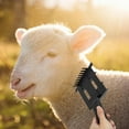 thumbnail image 4 of Toyvian Sheep Hair Remover Black 1Pack 8.1In Scratching Brush for Goats, 4 of 7