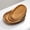 5pcs, variant on KUNPENG Oval Bamboo Woven Tray Decorative Serving Basket Natural Rattan Catchall Bowl for Coffee Table Bread Fruit Centerpiece Kitchen Organizer Home Decorative Objects Modern Farmhouse Boho Decor