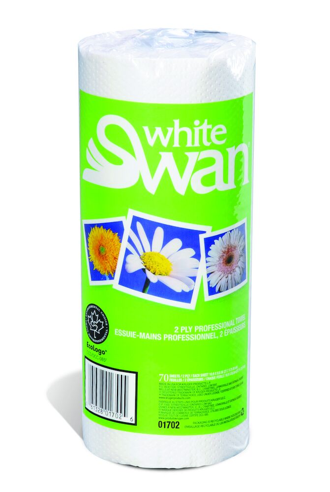 Mkt521 case swan s essay example 08 picture