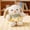 A, variant on Cute Bunny Plush in Floral Dresses – Soft Stuffed Rabbit Dolls for Spring Celebration & Girly Room Decoration