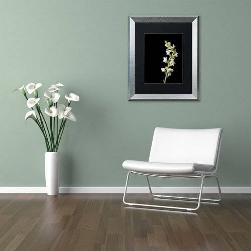 Trademark Fine Art 'White Snapdragons' Canvas Art by PIPA Fine Art, Black Matte, Silver Frame