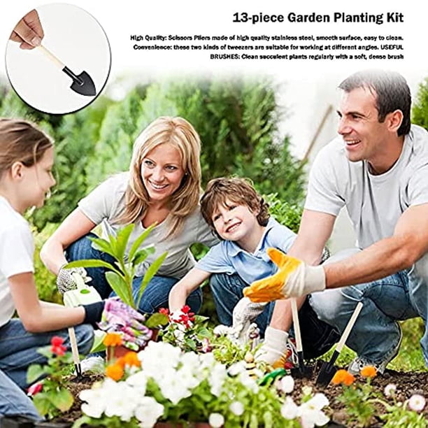 Kit 13 Outils Jardinage Miniatures - Pour Bonsaï Et Succulentes, Avec Sac De Rangement, Acier Inoxydable