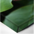 thumbnail image 4 of Purple Lotus Flower Photography Canvas Art 20 x 16, 4 of 4