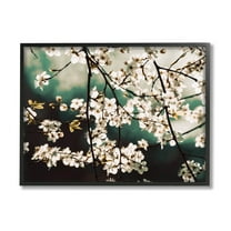 Cherry Blossom Nature Photography Botanical & Floral Photograph Black Framed Art Print Wall Art