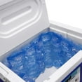 IGLOO MaxCold 8Cube Natural Ice Sheet 2Pack Blue
