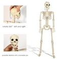 thumbnail image 3 of Halloween Skeleton Decor - 35 Inches, Full Body Posable Joints Hanging Skeletons for Halloween Decorations, Graveyard Props, Haunted House Accessories, Spooky Scene Party Favors, 3 of 7
