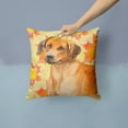 thumbnail image 2 of Carolines Treasures BB9937PW1414 Rhodesian Ridgeback Fall Fabric Decorative Pillow 14Hx14W multicolor, 2 of 4