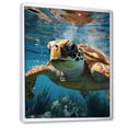 thumbnail image 2 of Designart "Whimsical Turtle: Ocean Explorer I" Animals Turtle Floater Framed Wall Art Prints, 2 of 5