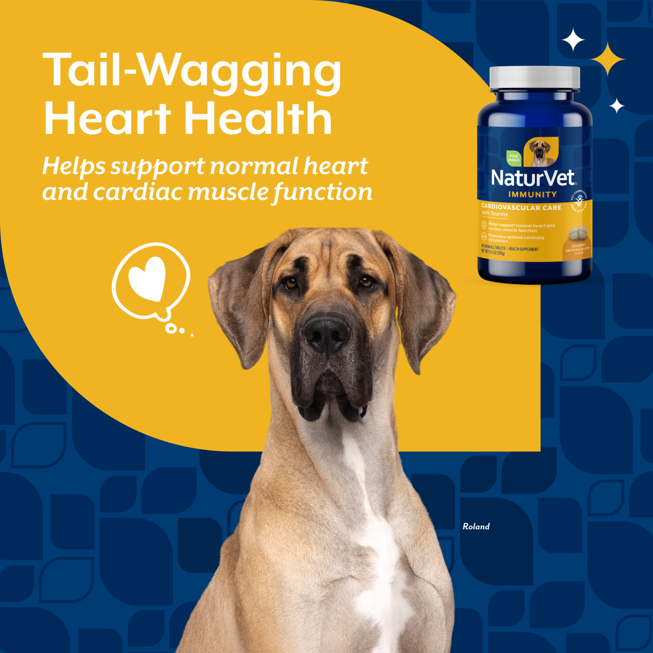 NaturVet Cardiovascular Care Immunity Supplement for Dogs, Hickory Smoked Bacon Flavor, 60 Count