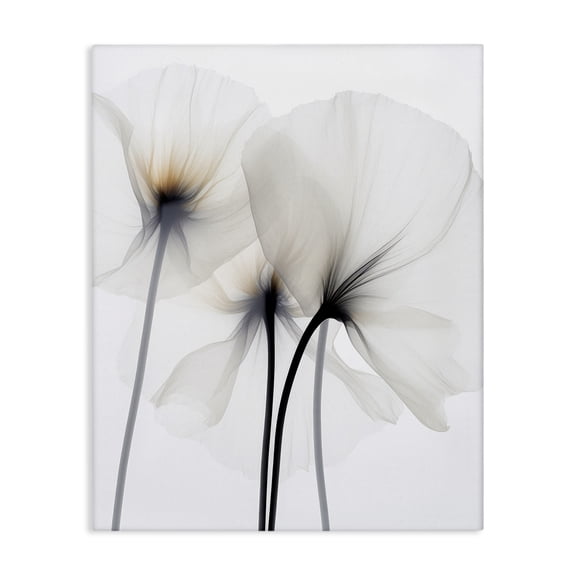 Stupell Industries Contemporary White Poppy Photography Canvas Art, 24 x 30, by Irena Orlov