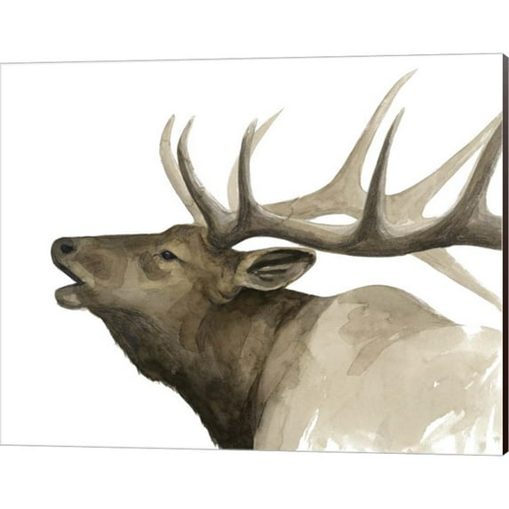 Great Art Now Call of the Elk II by Grace Popp, Canvas Wall Art, 20W x 16H