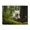 500 Pieces, variant on 500-Piece Wooden Jigsaw Puzzle for Adults - Happy Puppy Forest Run , Fun & Relaxing Interlocking No-Dust Puzzle for Family, Home Decor & Holiday Gifts