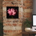 thumbnail image 5 of Epic Graffiti 'Perfect Peony' by Leah McLean Giclee Canvas Wall Art, 12"x12", 5 of 6