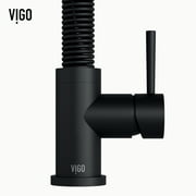 VIGO Industries VG02001MB 1 Handle Pull-Down Spray Kitchen Faucet Matte Black