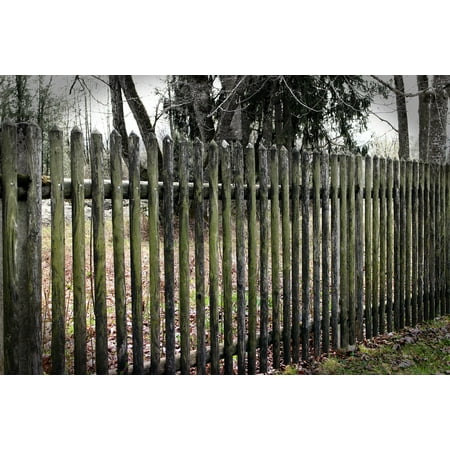 Protection Wood Fence Limit Fence Battens Paling Poster Print 24 x