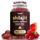 thumbnail image 1 of Gomitas Shilajit Supplement Kwala Nutrition, 1500 mg, 90 unidades, 1 of 6