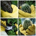 thumbnail image 4 of Nvzi Guantes de jardinería pequeños de piel de vaca impermeables con protección para el antebrazo, 4 of 4