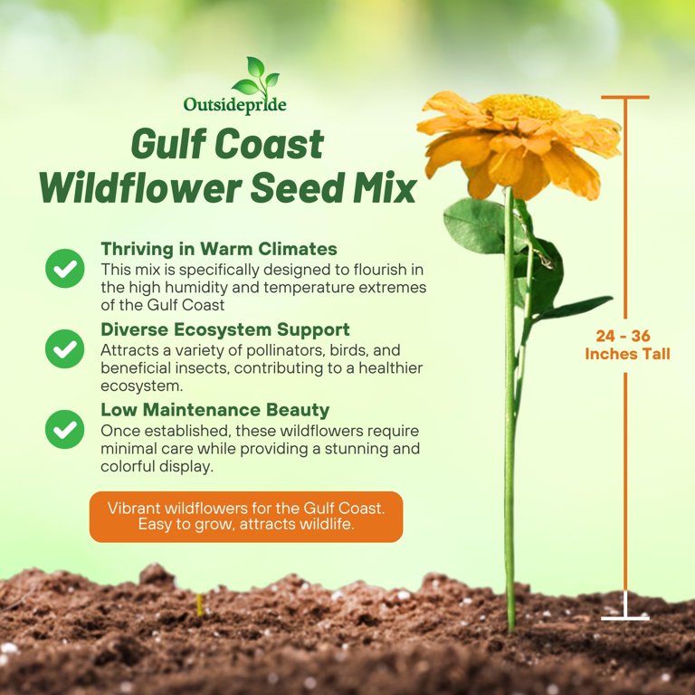 Outsidepride Gulf Coast Wildflower Seed Mix - 5 LBS