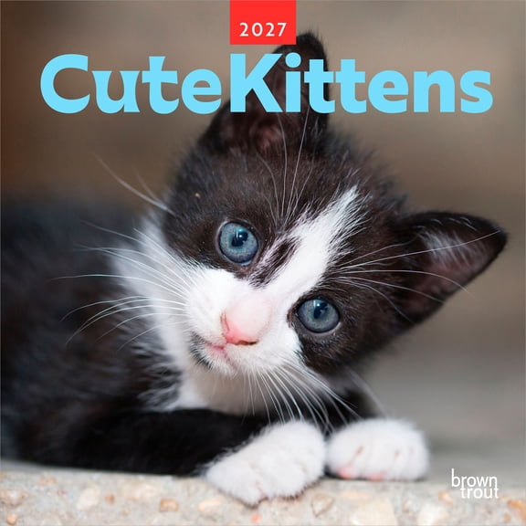 Cute Kittens | 2027 12x24" (Hanging) Wall Calendar | Plastic-Free | BrownTrout