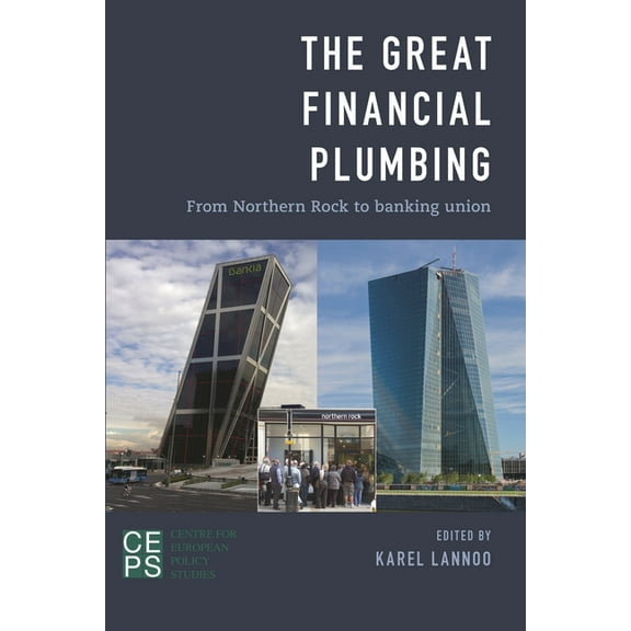 The Great Financial Plumbing : From Northern Rock to Banking Union (Paperback)