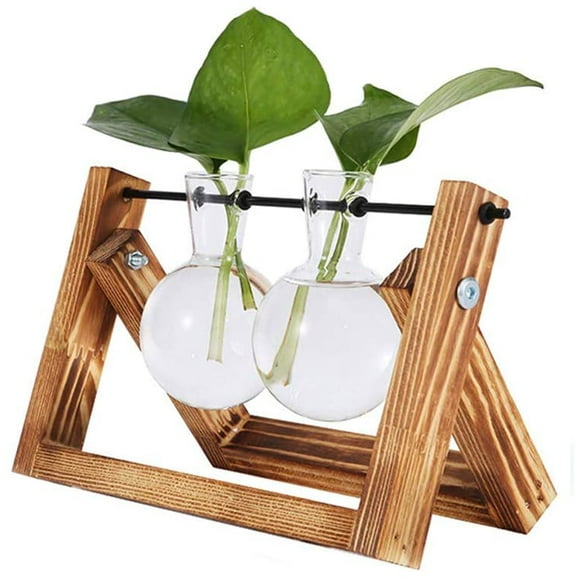 Propagation Station,Planter Terrariums with Wooden Stand Glass Plant Holder Propagation Tubes Stand Hydroponic Planter for Trendy Room Decor Plant Lovers Gift Ideas (1 Bulb, Charcoal Color)