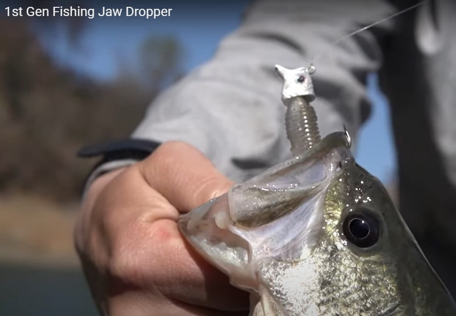 1st Gen Jaw Dropper Bass Leadheads GlmrShad 1/4OZ 3/0 4pk