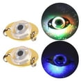 thumbnail image 4 of 2x Luz LED Gota Profunda Squid shamjiam Luz de pesca de gota profunda, 4 of 6