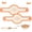 2pcs ( Oval ), variant on 2Pcs Silicone Bread Sling Dutch Oven Liner, Non-Stick & Easy Clean Reusable Oval Silicone Bread Sling Baking Mat, Easy to Transfer Sourdough Bread