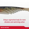 thumbnail image 4 of Berkley PowerBait® Ripple Shad, 2 in, Swimbaits, HD Bluegill (8 Count), 4 of 9