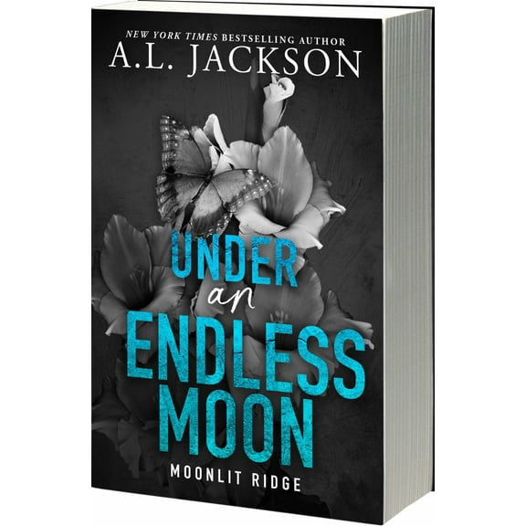 Under an Endless Moon (Paperback)
