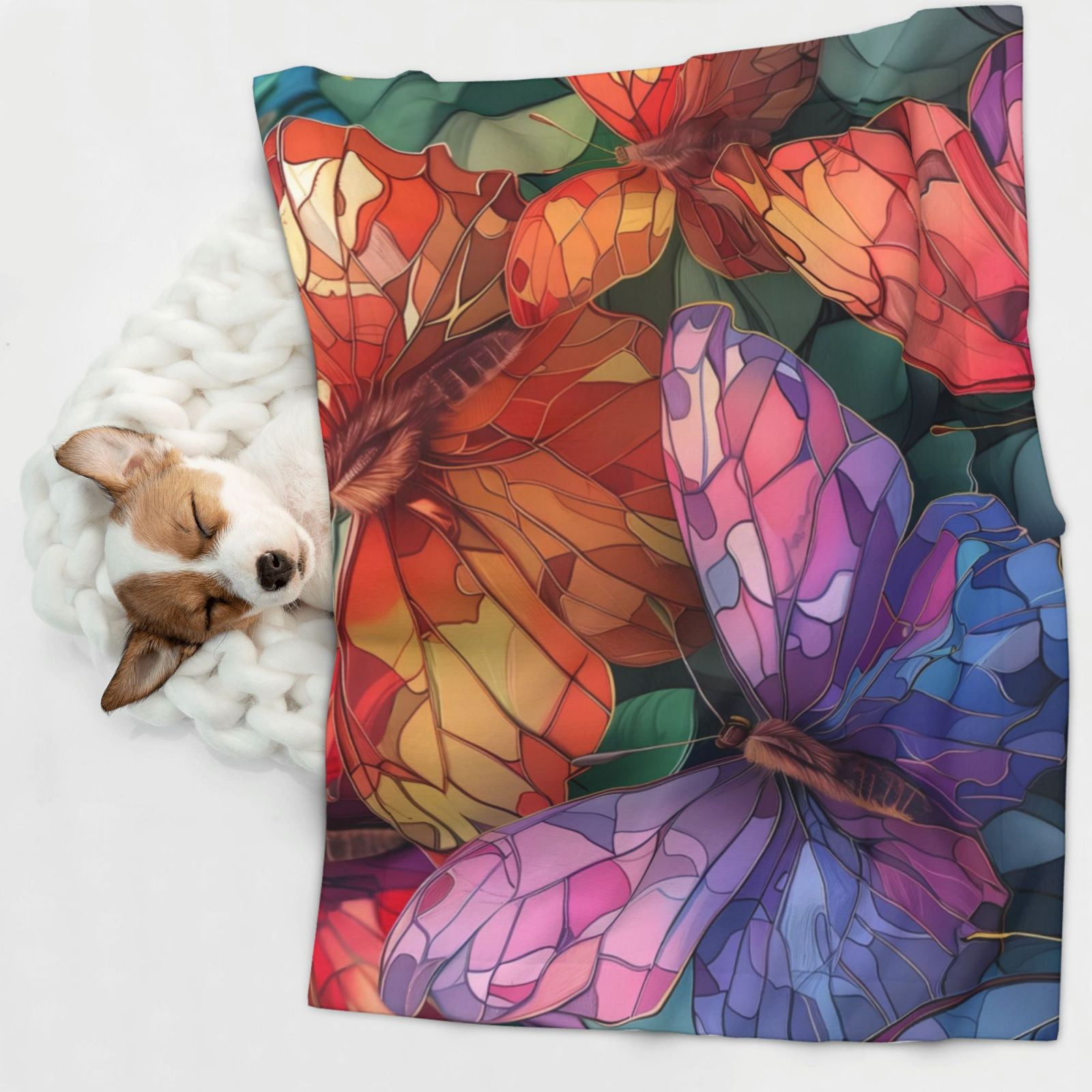 Naloa Colorful Butterfly Cluster Dog Blanket, 3 Sizes Cat Blanket for Indoor Cats Large Medium Small Dog Gifts-Medium